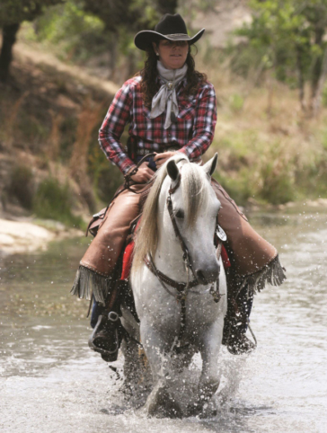 Section B Welsh Pony - Welsh Pony & Cob Society Of America